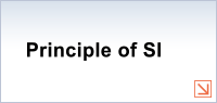 Principle of SI